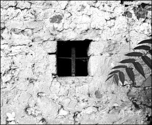 Istantanea sul mondo