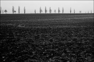 Istantanea sul mondo