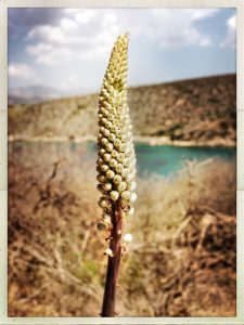 Istantanea sul mondo