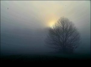 Istantanea sul mondo