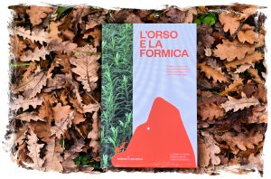 Il filo sottile che lega l’orso alla formica