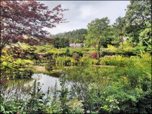 Istantanea sul mondo