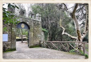 Il ‘Sacro Bosco’ di Bomarzo, tra natura e mistero