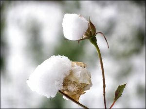 Istantanea sul mondo