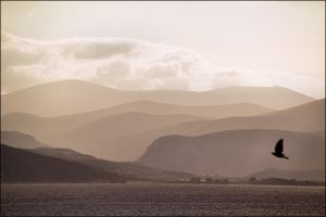 Istantanea sul mondo