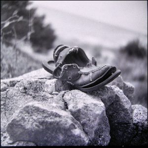 Istantanea sul mondo