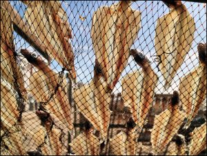 Istantanea sul mondo