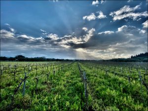 Istantanea sul mondo