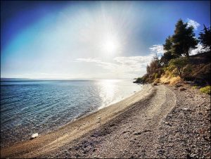 Istantanea sul mondo