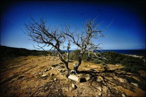 Istantanea sul mondo