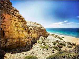 Istantanea sul mondo