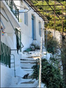 Istantanea sul mondo