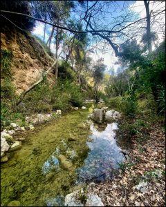 Istantanea sul mondo