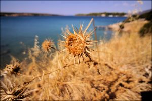 Istantanea sul mondo