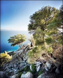 Istantanea sul mondo
