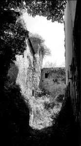 Istantanea sul mondo