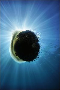 Istantanea sul mondo