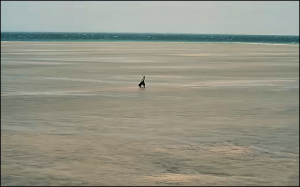 L’Odissea di Christopher Nolan: il viaggio di un uomo oltre il mito