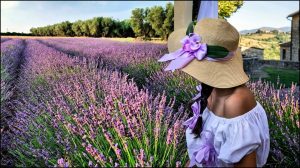 L’estate della Tuscia, tra profumo di lavanda e riscoperta di una tradizione