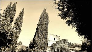 Istantanea sul mondo