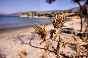 Istantanea sul mondo