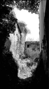 Istantanea sul mondo
