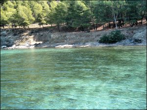 Istantanea sul mondo